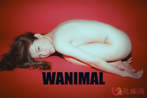 [合集]珍藏写真《WANIMAL王动》系列全套包含高清视频和套图，大小75.2G-孔雀海|爱合集
